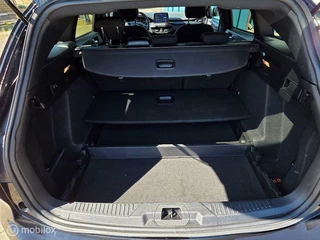 Ford Focus Ford Focus Wagon 1.0 EcoBoost Hybrid ST Line Business - afbeelding nr 12