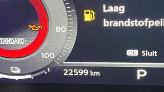 Nissan X-Trail - afbeelding nr 28