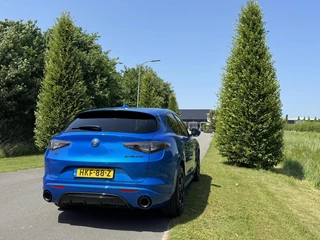 Alfa Romeo Stelvio Alfa Romeo Stelvio 2.0 T Q4 Veloce My24!! Blu Misano! 21inch - afbeelding nr 29