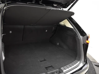 Lexus NX - afbeelding nr 17