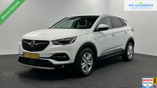Opel Grandland X 1.2 Turbo Business Elegance TREKHAAK NAVI ECC CRUISE LM.