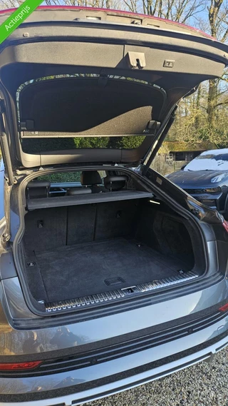 Audi e-tron Audi e-tron Sportback 55 quattro Business edition 95 kWh  Met zomer 21 inch  en Wintervelgen 19 inch - afbeelding nr 17
