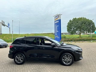 Ford Kuga - afbeelding nr 12