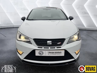 SEAT Ibiza - afbeelding nr 4