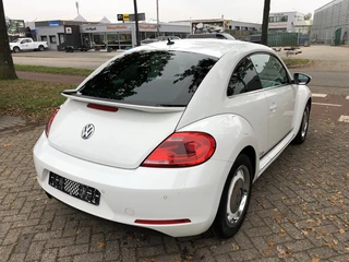 Volkswagen Beetle - afbeelding nr 4