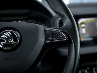 Škoda Karoq | Leer | Navi  & App-Connect | 18