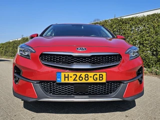 Kia XCeed Zondag OPEN! - afbeelding nr 6