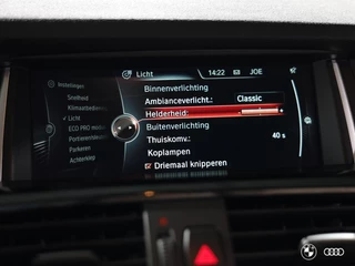 BMW X4 BMW X4 xDrive20i xLINE / HEADUP / LEDER / TREKHAAK / 19