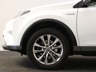 Toyota RAV4 - afbeelding nr 11