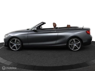 BMW 2 Serie BMW 2-serie Cabrio 220i Sport Aut8 184Pk | NL Auto | Bruin-leder | clima | 19-breed set | xenon | Trekhaak | M-stoelen | TOPSTAAT - afbeelding nr 25