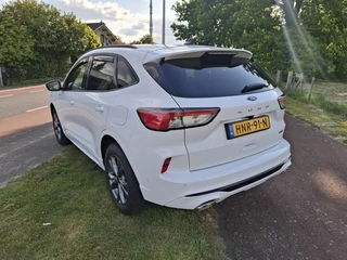 Ford Kuga - afbeelding nr 6