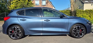 Ford Focus - 341481307-0