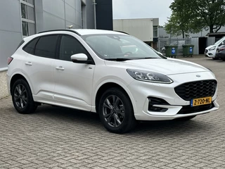 Ford Kuga - afbeelding nr 2