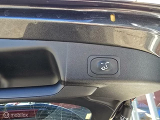Ford Focus Ford Focus Wagon 1.5 EcoB ST Line X Full Options Pano/ACC/HUD/Winterpakket/Led - afbeelding nr 11
