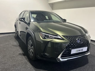 Lexus UX - 241223889-0