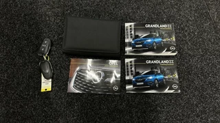Opel Grandland X Opel Grandland X 1.2 Turbo Business Executive CAMERA LEER CARPLAY NAVIGATIE - afbeelding nr 40