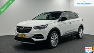 Opel Grandland X Opel Grandland X 1.2 Turbo Business Executive CARPLAY NAVI . - afbeelding nr 1