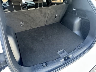Ford Kuga - afbeelding nr 30