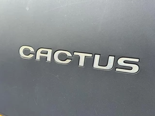 Citroën C4 Cactus Citroen C4 Cactus 1.2 PureTech Business Navi,Pano,Camera,Clima,Cruise,PDC,LM Velgen,110pk,Apk tot 06-2026 - afbeelding nr 28