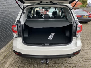 Subaru Forester - afbeelding nr 22