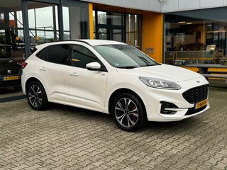 Ford Kuga - afbeelding nr 4