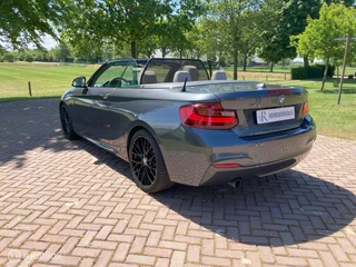 BMW 2 Serie BMW 2-serie Cabrio 220i M Sport Automaat HET DAK MAG ERAF ! - afbeelding nr 10