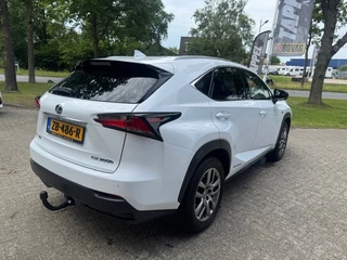 Lexus NX Lexus NX 300h AWD F Sport L. - afbeelding nr 5