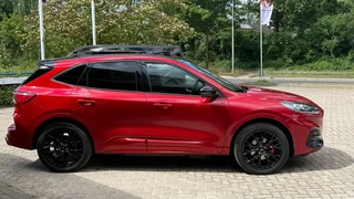 Ford Kuga - afbeelding nr 11