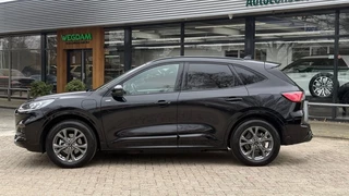 Ford Kuga Ford Kuga 2.5 PHEV ST-LINE X / Trekhaak+Driver+Techno+Winter pack - afbeelding nr 5