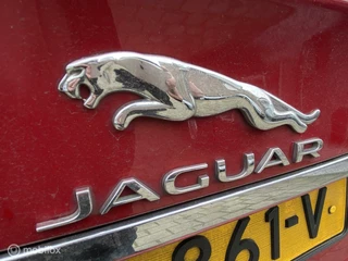 Jaguar XF Jaguar XF 3.0d Portfolio 134.DKM ORG NL-AUTO DEALER ONDERHOUDEN - afbeelding nr 26