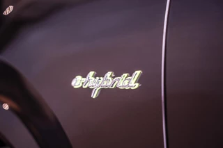 Porsche Cayenne Porsche Cayenne 3.0 E-Hybrid Platinum Edition|Innodrive|Pano - afbeelding nr 38