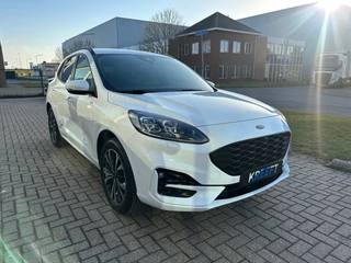 Ford Kuga Trekhaak | Camera | - afbeelding nr 5