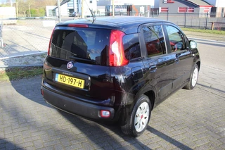 Fiat Panda - afbeelding nr 6