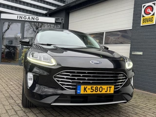 Ford Kuga - afbeelding nr 7