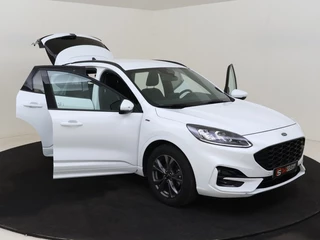 Ford Kuga - afbeelding nr 15