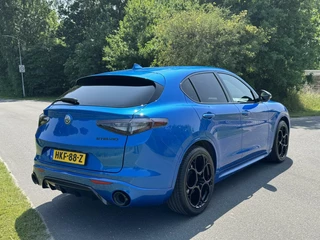 Alfa Romeo Stelvio Alfa Romeo Stelvio 2.0 T Q4 Veloce My24!! Blu Misano! 21inch - afbeelding nr 10