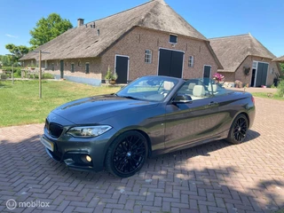BMW 2 Serie BMW 2-serie Cabrio 220i M Sport Automaat HET DAK MAG ERAF ! - afbeelding nr 6