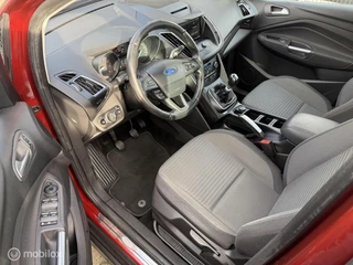 Ford C-MAX Ford C-Max 1.0 Titanium panoramadak-nwe distributieriem - afbeelding nr 7