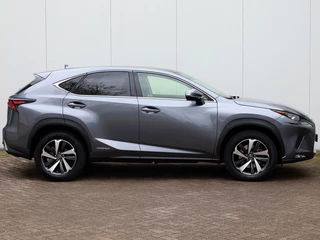 Lexus NX - afbeelding nr 6