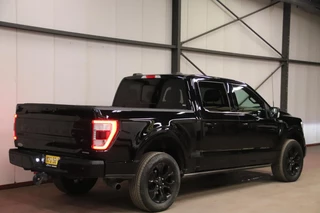 Ford F-150 Ford F150 USA F-150 V6 EcoBoost PLATINUM - afbeelding nr 2