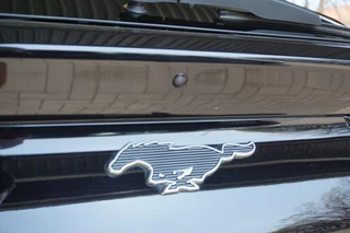 Ford Mustang Mach-E - afbeelding nr 27