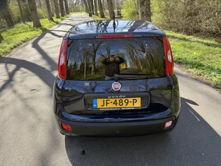 Fiat Panda - afbeelding nr 9