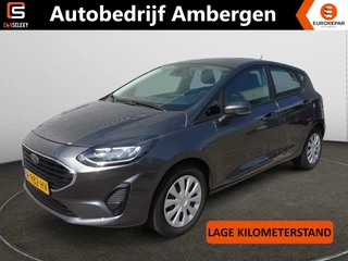 Ford Fiesta - afbeelding nr 1