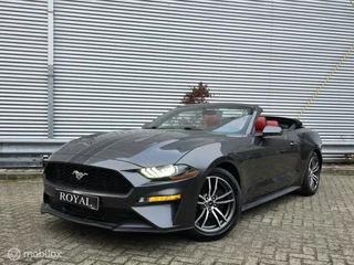 Ford Mustang - 426414235-0