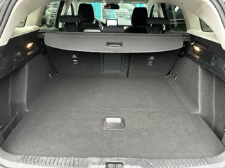 Ford Focus - afbeelding nr 23