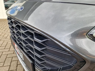 Ford Kuga - afbeelding nr 12