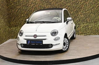 Fiat 500 - 257237545-0