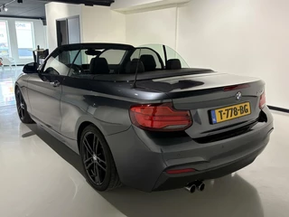 BMW 2 Serie BMW 2-serie Cabrio 220i M Sport 184pk AUT LCI|Facelift|H&K|18''|Leder|Navi|Shodowline|Dealer onderhouden| - afbeelding nr 11
