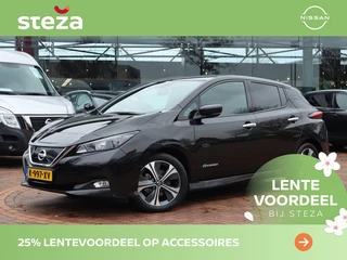 Nissan Leaf - afbeelding nr 1