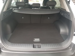 Kia Sportage - afbeelding nr 12
